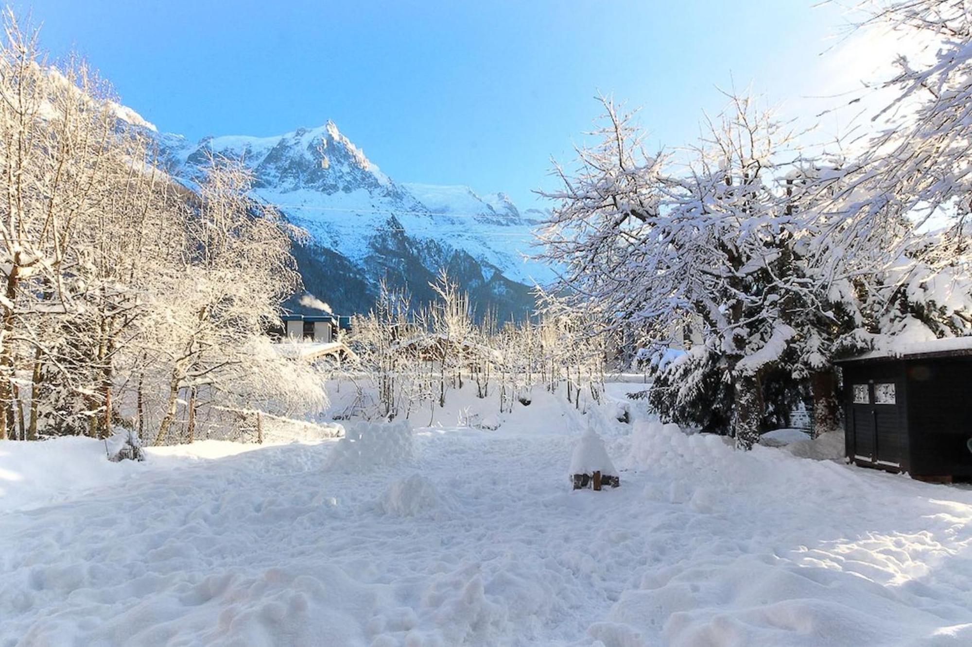 Violette De Cham - Jardin Prive - Vue Mont Blanc Apartment Chamonix Exterior foto
